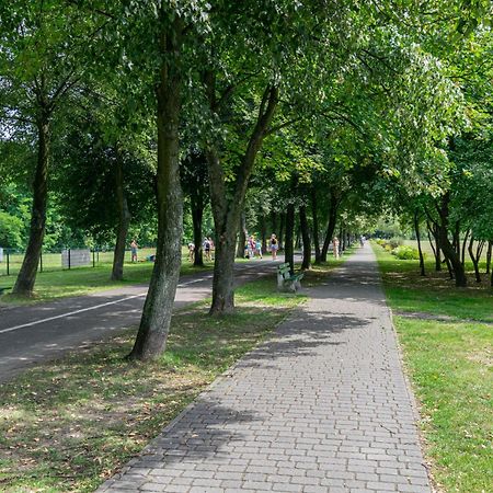 Oasis Trzy Stawy - Free Parking - Self Check-In Leilighet Katowice Eksteriør bilde