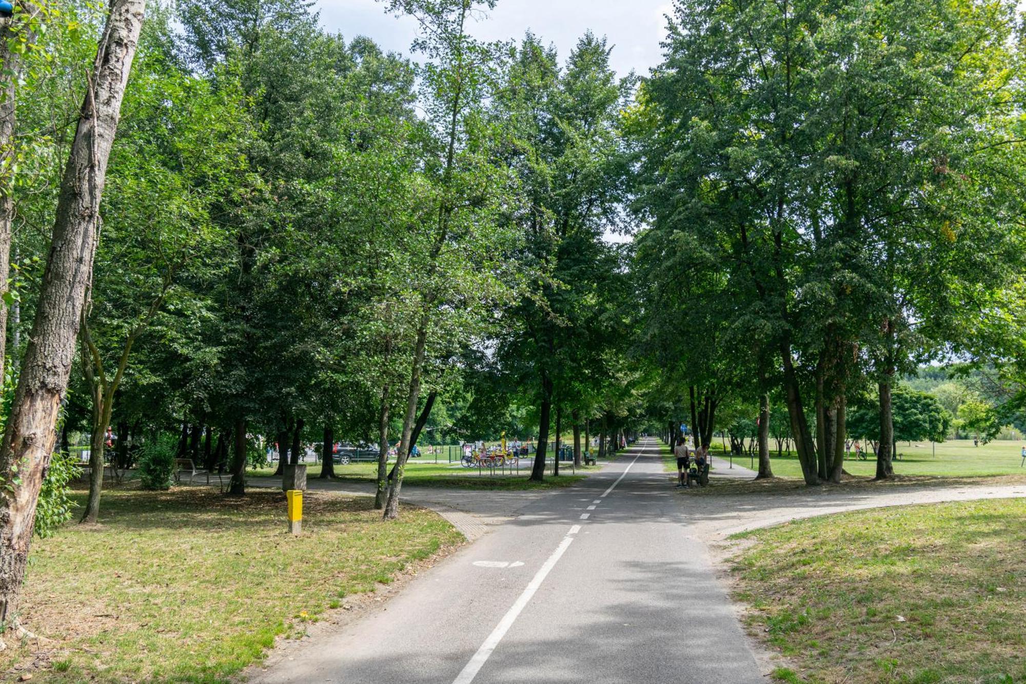 Oasis Trzy Stawy - Free Parking - Self Check-In Leilighet Katowice Eksteriør bilde